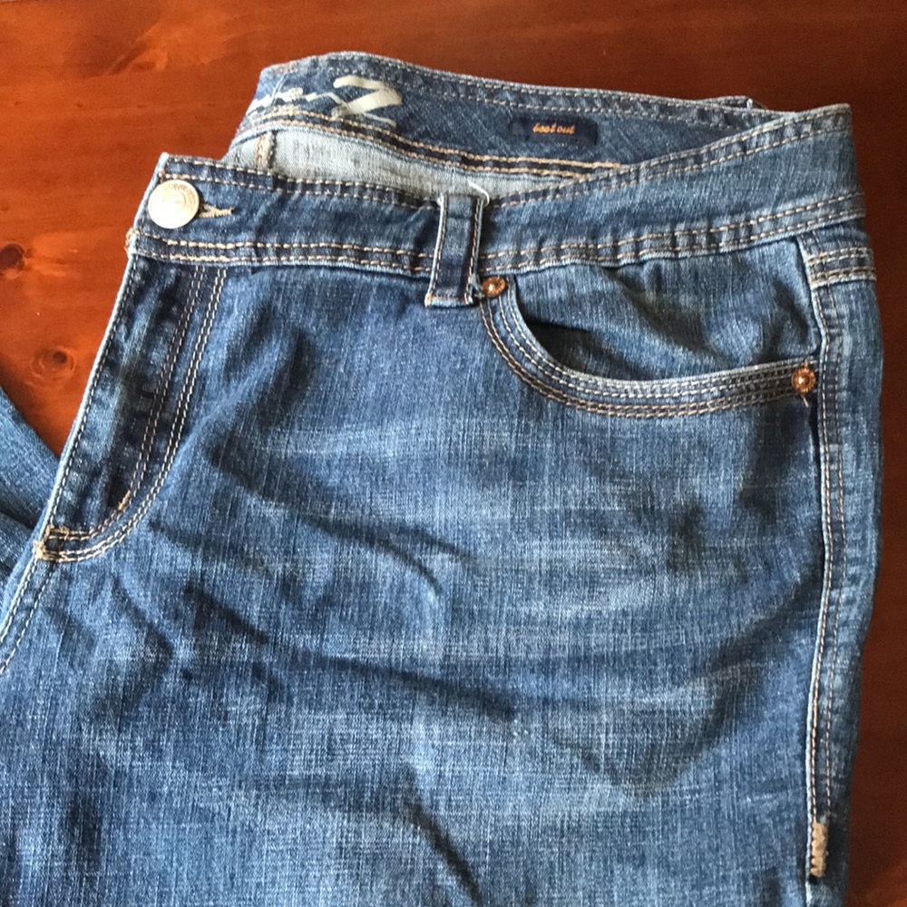 Plus size Seven Jeans